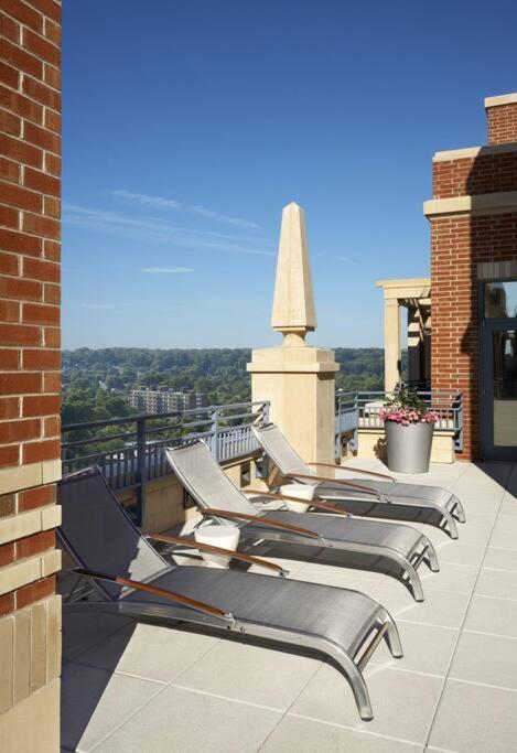 Bright And Cozy Apartment Near Pentagon City 알링턴 외부 사진