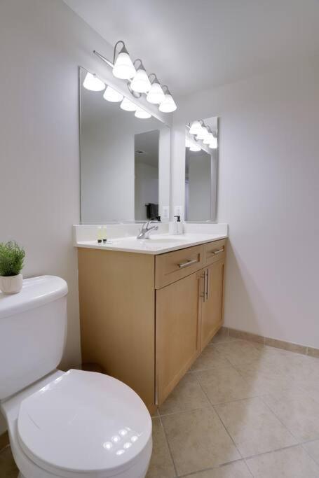 Bright And Cozy Apartment Near Pentagon City 알링턴 외부 사진