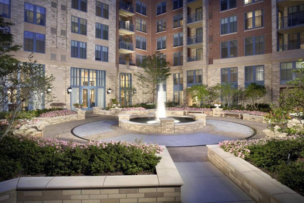 Bright And Cozy Apartment Near Pentagon City 알링턴 외부 사진